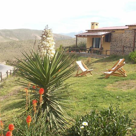 Cabanas Balcones De Tafi Tafí del Valle Exteriér fotografie